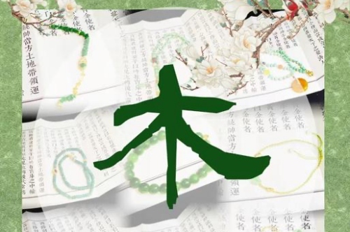 五行缺木的女人怎么改变运势